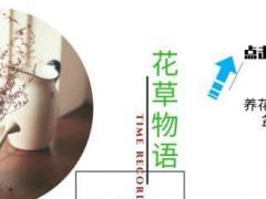 多肉植物別急著“露養(yǎng)”，大神教你做好“4準(zhǔn)備”，可以減少空盆