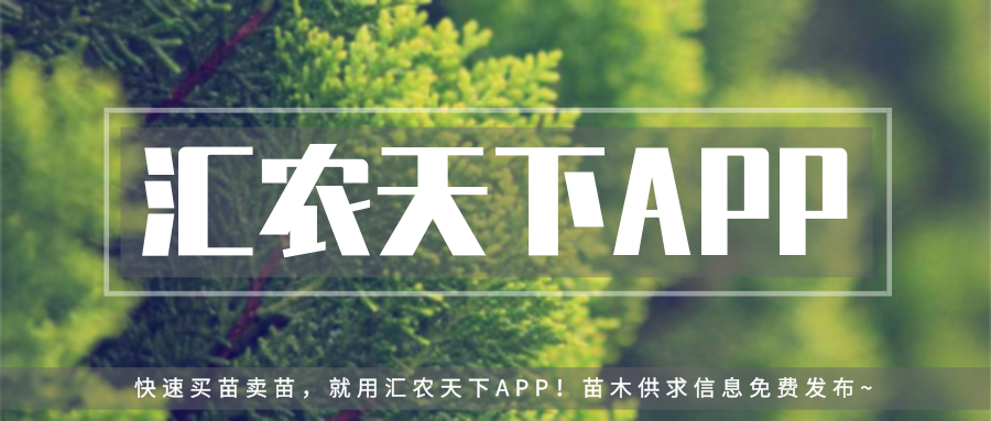 北方適宜樹(shù)種_北方種植樹(shù)適合流蘇樹(shù)嗎_流蘇樹(shù)適合北方種植嗎