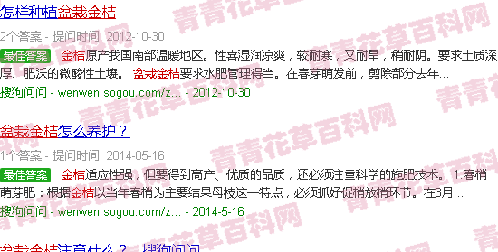 盆栽金桔的飼養(yǎng)方法_金桔盆栽種植方法和注意事項_盆栽金桔種植技術(shù)