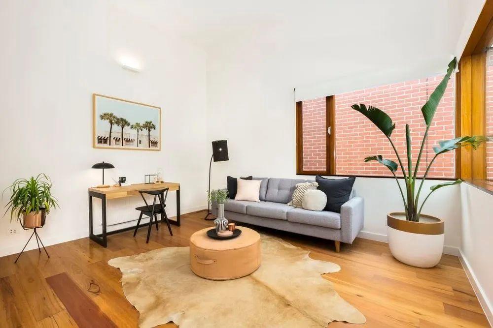 客廳 綠植_客廳綠植什么最好養(yǎng)_客廳綠植放什么好