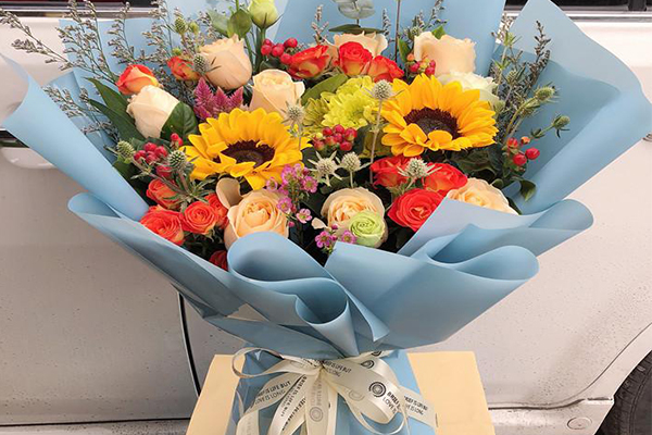 長春市綠植花卉批發(fā)市場_長春市最大的花卉批發(fā)市場_長春市哪里賣花卉綠植便宜