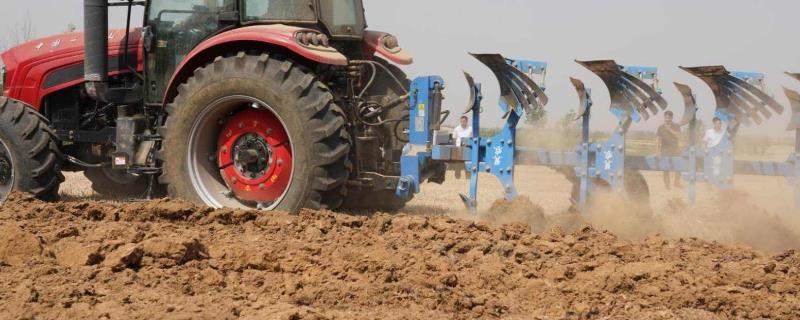 養(yǎng)小苗土多肉好用不_多肉小苗用什么土養(yǎng)最好_多肉小苗土怎么配