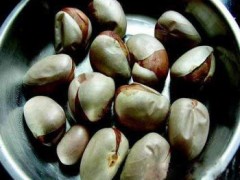 菠蘿蜜核能吃嗎 菠蘿蜜核的營(yíng)養(yǎng)價(jià)值