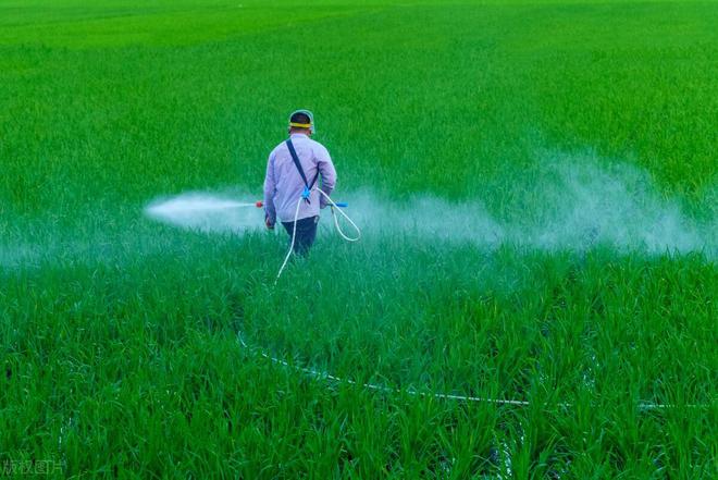 哪些農(nóng)藥屬于堿性農(nóng)藥_農(nóng)藥呈堿性是什么意思_堿性的農(nóng)藥有哪些