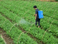 堿性農(nóng)藥有哪些