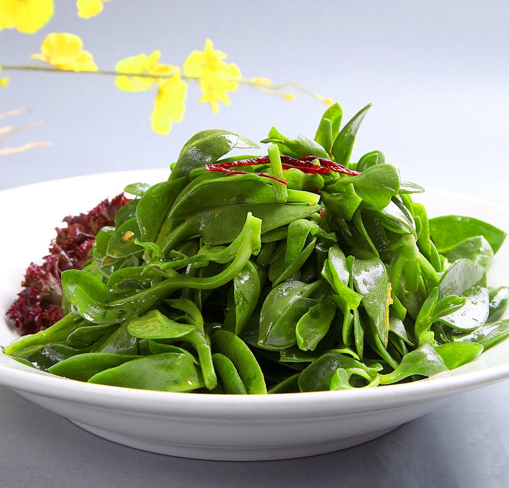 綠植養(yǎng)家里有什么作用_家里養(yǎng)什么綠植對身體好_養(yǎng)綠植給身心帶來的好處